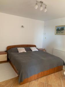 Ein Bett oder Betten in einem Zimmer der Unterkunft Apartment Villa Ana