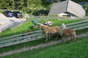 Φωτογραφία από το άλμπουμ του Gstattlhof Mountain Farmhouse σε Braies +41 φωτογραφίες