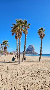 un grupo de palmeras en una playa de arena en Boho Arenal Bol, en Calpe