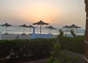 un gruppo di ombrelloni su una spiaggia con l'oceano di إطلالة مباشرة على البحر شاليه فندقي مكيف بحديقة خاصة راس سدر a Ras Sedr