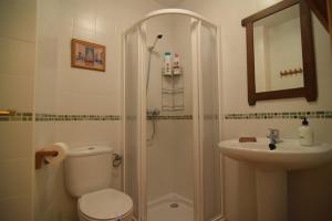 Un baño con ducha, inodoro y lavabo. en Hospedium DLJ Enjoy Cazorla apartamentos, en La Iruela 102 fotos más