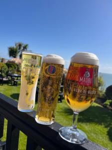 three glasses of beer sitting on a rail at Carlton Hotel in Shanklin