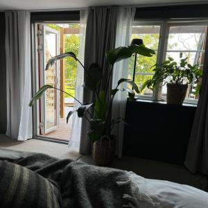 Fotografie z fotogalerie ubytování Sund Nergården v destinaci Vagnhärad