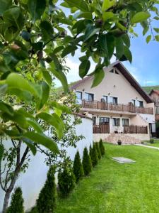 an exterior view of a house with a yard at CASA ALEXANDRA in Galeş