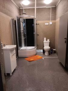 a bathroom with a shower and a toilet and a sink at Chata na Rogu in Boszkowo-Letnisko +18 photos