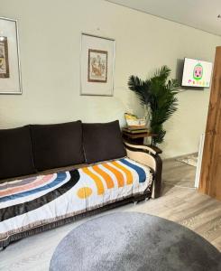 ein Sofa im Wohnzimmer mit einem Teppich in der Unterkunft Квартиры под соснами in Tscholponata