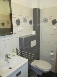 bagno con lavandino, servizi igienici e specchio di Guest House Krpole a Brno