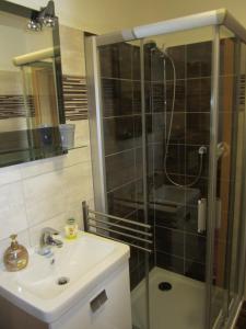 a bathroom with a glass shower and a sink at Guest House Krpole in Brno