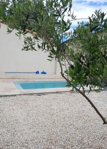 un arbre en face d'une piscine dans l'établissement Gite des Platanes, 
