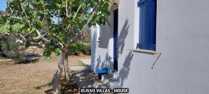 A garden outside Elisso Villas