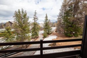 Príroda v okolí apartmánu + 32 fotografií