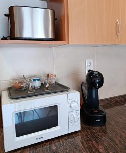 a white microwave sitting on top of a counter at Apartamento San Martín in Sanxenxo +13 photos