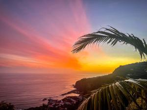 una palma e l'oceano al tramonto di Indigo Star House a Ribeira Brava