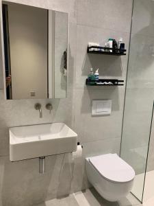 a bathroom with a sink and a toilet at Regents Park Apartments in London