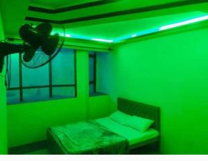 um quarto verde com uma cama e uma ventoinha em Skardu City Guest House em Skardu
