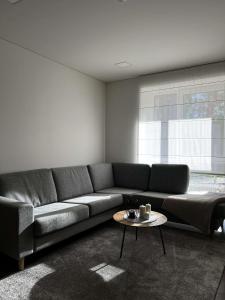 a living room with a couch and a table at Milastos apartamentai in Birštonas
