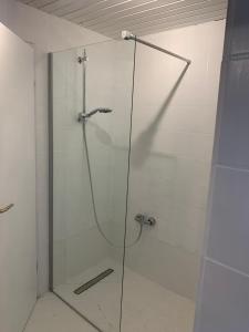 a shower with a glass door in a bathroom at Ferienwohnung Zumhof in Rudersberg