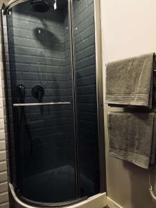 una ducha con puerta de cristal en un baño en Milastos apartamentai, en Birštonas