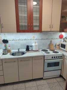 Kuchyň nebo kuchyňský kout v ubytování HushHush Apartman