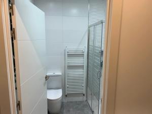 a bathroom with a toilet and a walk in shower at Magnifica swit room sama in San Sebastián