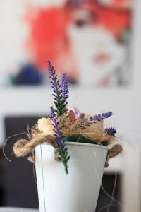 Fotografie z fotogalerie ubytování Apartman T&D v Dubrovníku