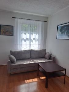 a living room with a couch and a window at Apartmán U Rogala in Děčín