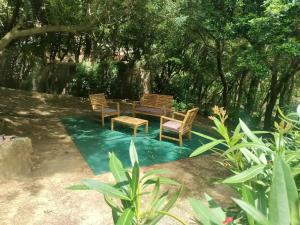 two chairs and a table in a yard with trees at Lara's Green Home in Quercianella