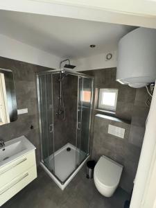 a bathroom with a shower and a toilet and a sink at Apartamenty Jeżynowa 20 in Rowy