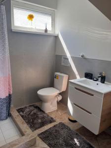 a bathroom with a toilet and a sink and a window at Perfectly located summerhouse in Druskininkai