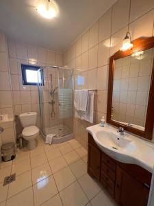 Bilik mandi di Casa Valea Rece +53 gambar