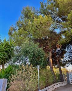 A garden outside Villa Rita