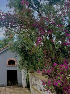 A garden outside Villa Rita