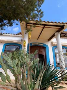 Uma casa com um cacto à frente. em Casa Goro Formentera em Playa Migjorn