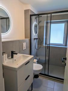 La salle de bains est pourvue d'une douche, d'un lavabo et de toilettes. dans l'établissement Haus im Hochtal, à Bad Bleiberg