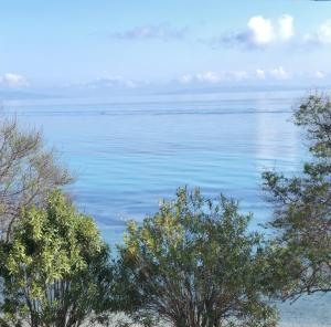 a view of a body of water with trees at Boukari Blu Studio Boukari Beach in Boukari