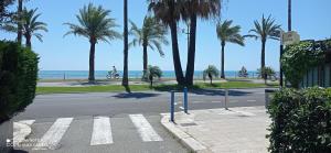 ニースにあるBel appartement - plage à 50 mの椰子の木と海の空き道