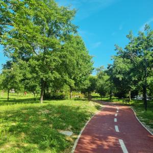 um caminho num parque com árvores e relva em A due passi dal Parco em Perugia