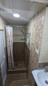 a bathroom with a shower and a sink at Lela Apartments in Tbilisi City