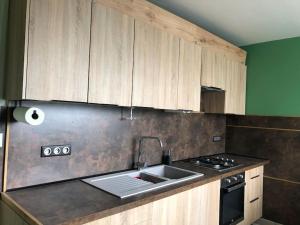 a kitchen with wooden cabinets and a sink at Beau T2 rénové in Cluses
