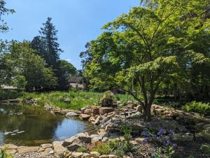 a stream in a garden with a tree and flowers at Cosy listed barn in peaceful country village in Grandborough