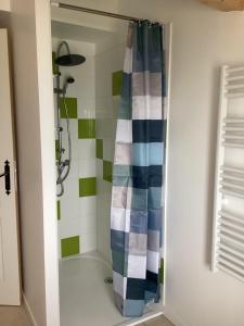 a shower with a blue and white shower curtain at La Biste in Mirepoix +12 photos