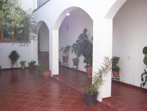 um pátio com vasos de plantas num edifício em Casa Concha em Almadén de la Plata