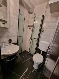 a bathroom with a shower and a toilet and a sink at Luxury apartment Antonija-old town in Cavtat
