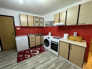 a kitchen with a stove and a washing machine at House with big terrace near the beach in Kotor