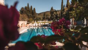 The swimming pool at or close to Dominoes Corfu