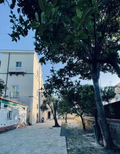 een straat met bomen en een wit gebouw bij Casa Torre a Sorrento con parcheggio gratuito in Sorrento