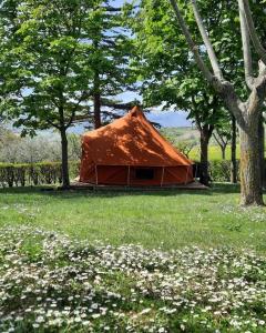 Příroda nedaleko luxury tent
