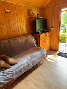 un divano in pelle in una camera con TV di Domki Zewa a Orelec