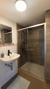 a bathroom with a glass shower and a sink at Casa Filada - Ferienort für Alle in Laubach
