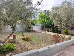 un jardín con árboles y macetas y un edificio en Jani's Studio, en Vlorë 6 fotos más